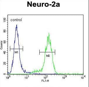 VWA3B Antibody (aa1178-1207)