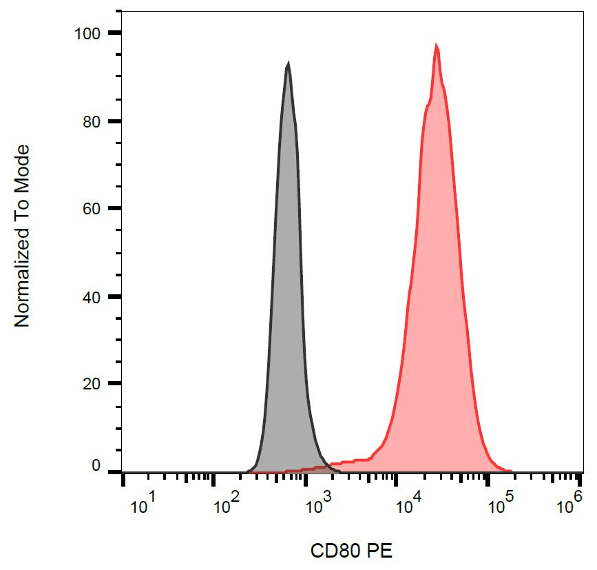 Monoclonal Mouse anti-Human CD80 Antibody (clone MEM-233, PE)