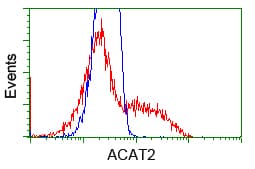 ACAT2 Antibody (clone OTI5F7)