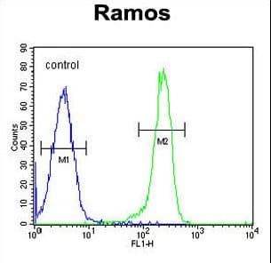 Polyclonal Rabbit anti-Human PDE4B Antibody (aa189-217, WB)