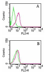 ARHGDIB / D4 GDI Antibody (clone 10D774)