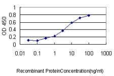 ATOX1 Antibody (clone 2E6)