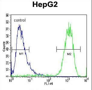 Polyclonal Rabbit anti-Human ATP5H Antibody (aa68-97, IHC, WB)