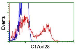 HID1 / C17orf28 Antibody (clone OTI3B5)