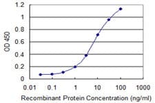 EREG / Epiregulin Antibody (clone 1E6)