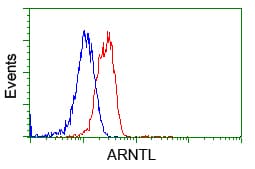 ARNTL / BMAL1 Antibody (clone OTI3G9)