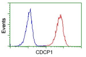 CDCP1 Antibody (clone 2C1, Carrier-free)