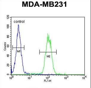 Polyclonal Rabbit anti-Human AP1S1 Antibody (aa5-34, IHC, WB)