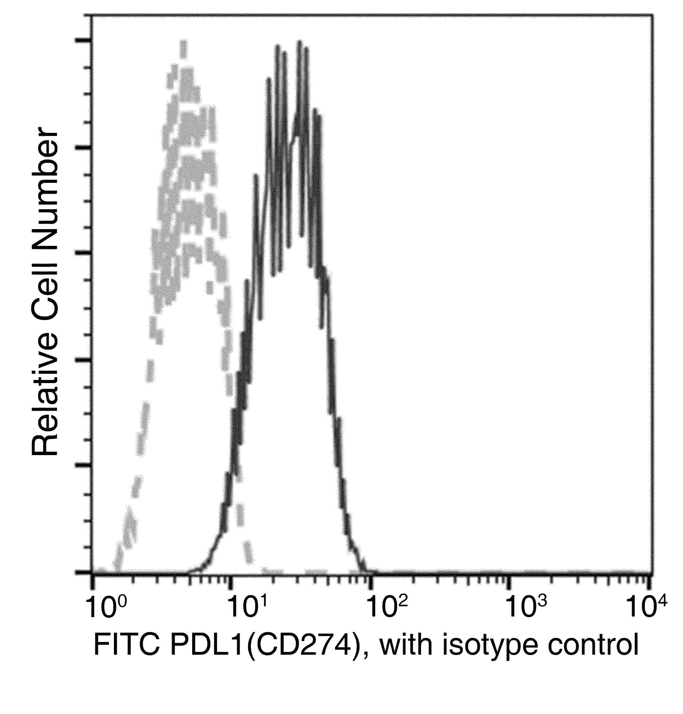 CD274 / B7-H1 / PD-L1 Antibody (clone 312, FITC)