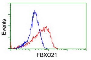 FBXO21 Antibody (clone OTI3C11, Carrier-free)