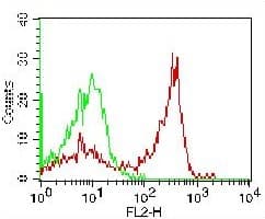 CD4 Antibody