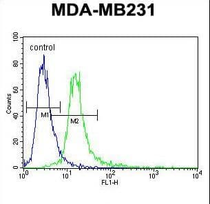 ANKRD13C Antibody (aa1-30)