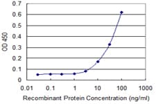 RING1 Antibody (clone 1D5)