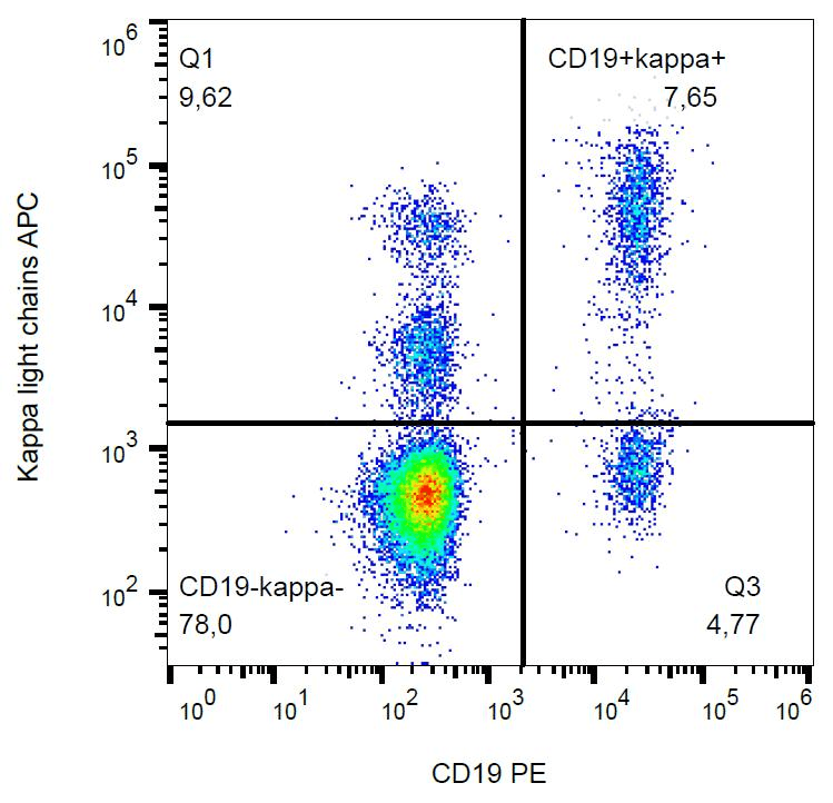 Anti-Mouse Kappa Light Chain Secondary Antibody (clone TB28-2, APC)