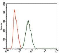 HIWI2 / PIWIL4 Antibody (Amino Acid: 304-434, clone 10G9B11)