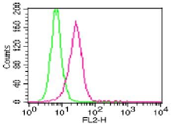 IL-1B / IL-1 Beta Antibody