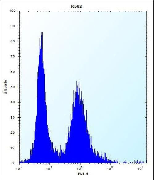 MEIG1 Antibody (aa36-65)