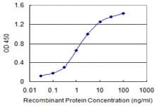 Monoclonal Mouse anti-Human GAPDH Antibody (clone 3C2, WB)