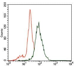 SLC27A5 / BACS Antibody (Amino Acid: 508-570, clone 4B11C10)