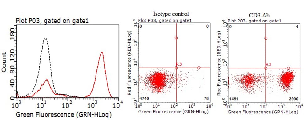 CD3 Antibody (clone UCHT1)