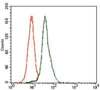 E2F1 Antibody (Amino Acid: 69-223, clone 8G9)