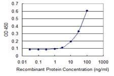 Monoclonal Mouse anti-Human LIPG / Endothelial Lipase Antibody (clone 4A9, WB)