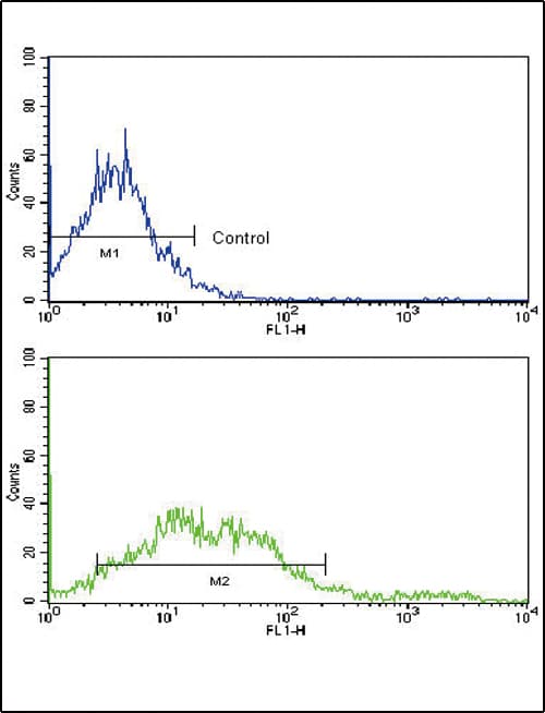 EPHA2 / EPH Receptor A2 Antibody (aa30-60)