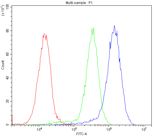 BMP5 Antibody (aa332-365)