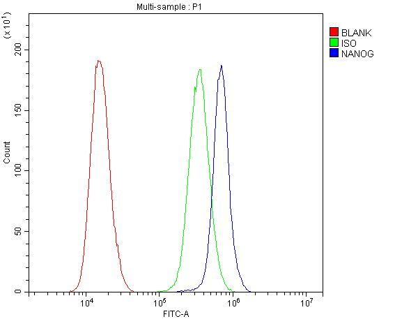 NANOG Antibody