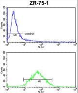PXMP4 Antibody (aa128-155)