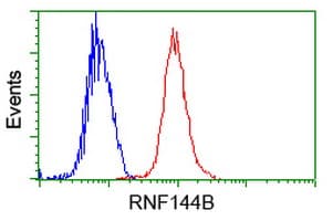RNF144B Antibody (clone OTI3D7)