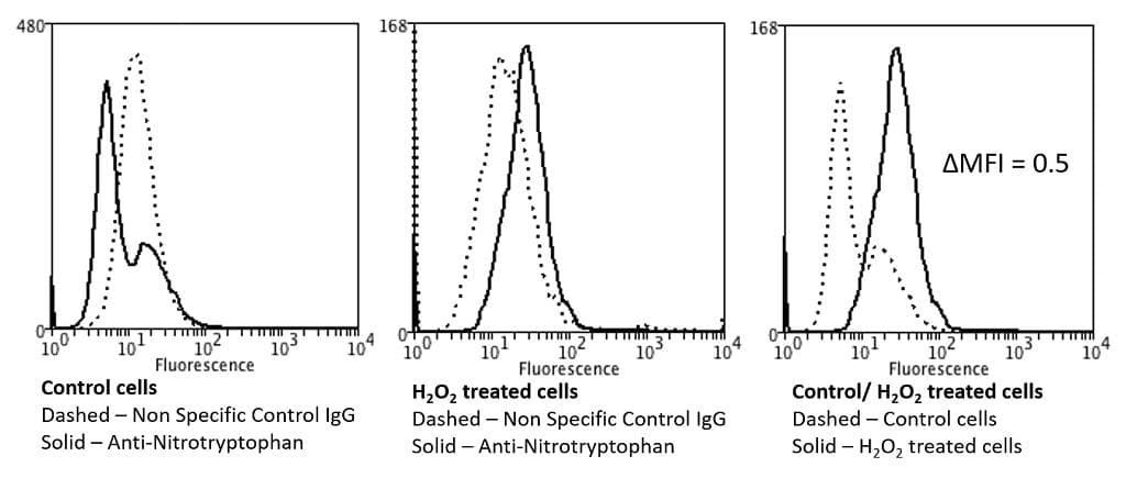 NO Tryptophan (Nitrotryptophan) Antibody (clone 2D12, Atto 488)