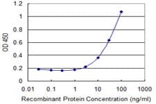 ZNF266 Antibody (clone 4G5)