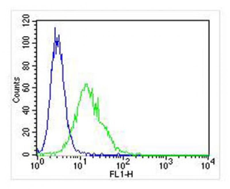 Monoclonal Mouse anti-Human SOD2 / Mn SOD Antibody (clone 1559CT572.3.83, IHC, WB)