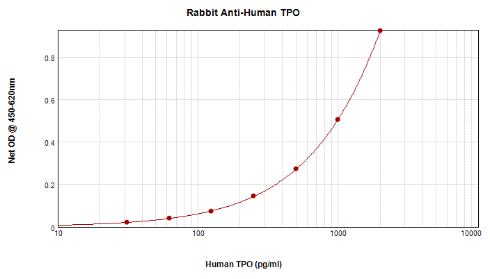 THPO / TPO / Thrombopoietin Antibody