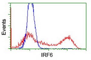 IRF6 Antibody (clone OTI1G3)