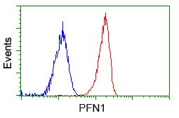 Monoclonal Mouse anti-Human PFN1 / Profilin 1 Antibody (clone OTI1D5, IHC, IF, WB)
