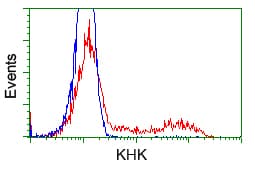 KHK / Ketohexokinase Antibody (clone OTI4H3)