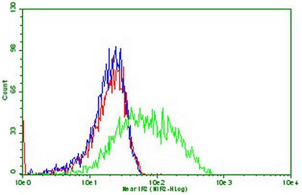Monoclonal Mouse anti-Human PDCD1 / CD279 / PD-1 Antibody (clone OTI24D2, IF, WB)