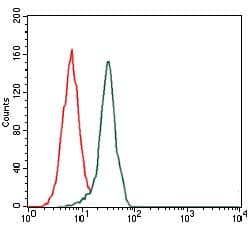 Monoclonal Mouse anti-Human FN1 / Fibronectin Antibody (clone 2F4, IHC, WB)