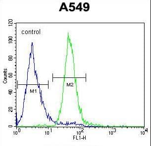 Polyclonal Rabbit anti-Human C15orf39 Antibody (aa938-967, WB)