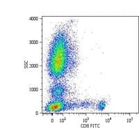 CD8 Antibody (clone MEM-31, FITC)