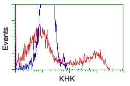 Monoclonal Mouse anti-Human KHK / Ketohexokinase Antibody (clone OTI3C4, IHC, WB)