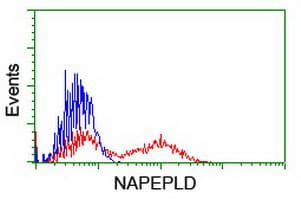NAPE-PLD Antibody (clone OTI4B12, Carrier-free)
