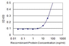 EXOSC5 Antibody (clone 1E11)