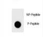 BAD Antibody (phospho-Ser124)