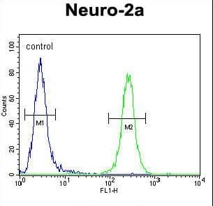 CEP89 Antibody (aa658-687)