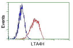 LTA4H / LTA4 Antibody (clone OTI7D11)