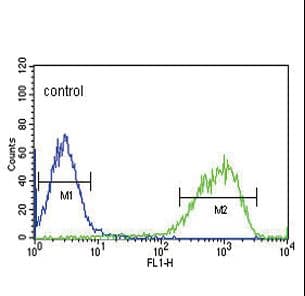 EREG / Epiregulin Antibody (aa137-165)