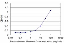 PRODH Antibody (clone 3A9)